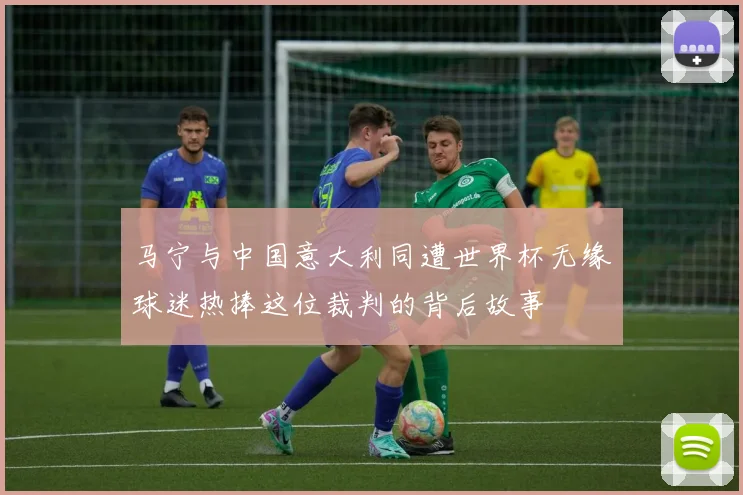 马宁与中国意大利同遭世界杯无缘球迷热捧这位裁判的背后故事