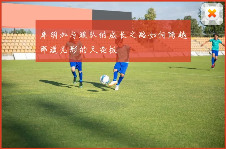 库明加与狼队的成长之路如何跨越那道无形的天花板